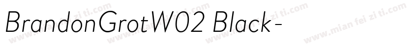 BrandonGrotW02 Black字体转换